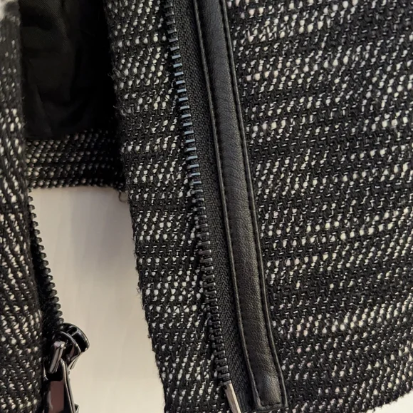 Vince - Picture 4 of 6